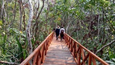 Wisata Pulau Bakut Banjarmasin Tempat Wisata Terbaik Banjarmasin