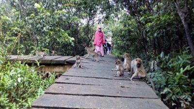 Pulau Kembang Tempat Wisata Terbaik Banjarmasin